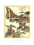 Whimsical Butterflies II