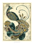 Royal Peacock