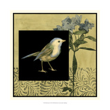 Bird Fantasy I