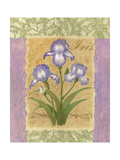 Sweet Iris