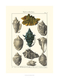 Seaside Treasures II