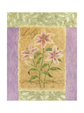 Sweet Lily