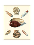 Studies in Symmetry VI
