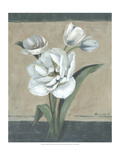 White Tulips II