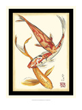 Koi Fish II