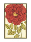 Ruby Blooms IV
