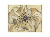 Tone on Tone Petals IV