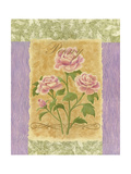 Sweet Peony