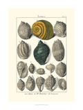 Seaside Treasures III