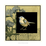 Bird Fantasy II