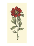 Embellished Blooming Peonies I