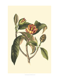Crackled Flourishing Foliage I