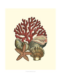 Coral Medley I