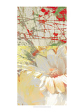 White Wonders II