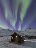Northern Lights  White Mountain National Recreation Area  Alaska  USA