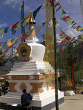 Student  Paro  Bhutan