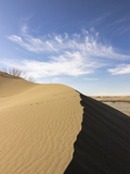 Sand Dune Ridge  Bruneau Dunes State Park  Idaho  USA