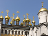 Domes of the Church of the Deposition of Our Lady's Robe  Moscow  Russia
