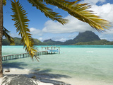 Mount Otemanu  Bora Bora  French Polynesia