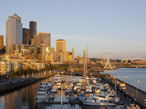 The Seattle Great Wheel  Seattle  Washington  USA