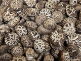 Dried Mushrooms  Hong Kong  China