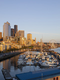 The Seattle Great Wheel  Seattle  Washington  USA