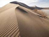 Sand Dune Formations  Bruneau Dunes State Park  Idaho  USA