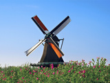 Windmills  Zaanse Schans  Zaanstad  Netherlands