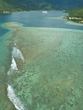 Cook's Bay  Moorea  French Polynesia