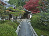 Japanese Garden  Kyoto  Japan