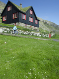Old Farm House with Sod Roof  Kirkjubor Village  Faroe Islands  Denmark