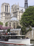 A Tour Boat Cruises by Notre Dame Cathedral  Paris  France