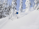 Mistie Fortin Skis Powder at Whitefish Mountain Resort in Whitefish  Montana  USA