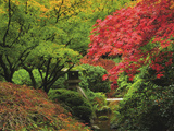 Portland Japanese Garden in Autumn  Portland  Oregon  USA