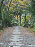 Kozanji Temple  Kyoto  Japan