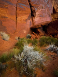 Reddish Rock Face  Utah  USA
