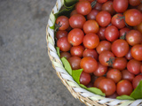 Basket of Tomatoes  China