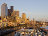 The Seattle Great Wheel  Seattle  Washington  USA