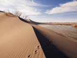 Sand Dune Formations  Bruneau Dunes State Park  Idaho  USA