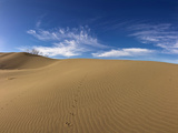Wind Ripples Sand Dunes at Bruneau Dunes  State Park  Idaho  USA