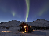 Caribou Bluff Cabin  White Mountain National Recreation Area  Alaska  USA