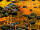 Pond  Davis  West Virginia  USA