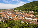Heidelberg Castle  Heidelberg  Germany