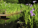 Summer in the Portland Japanese Garden  Portland  Oregon  USA