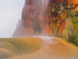 Fly Geyser  Black Rock Desert  Nevada  USA