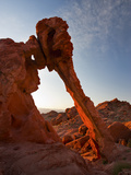 Elephant Rock  Valley of Fire State Park  Nevada  USA