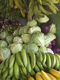 Produce Stall at the Saturday Market  San Ignacio  Belize