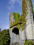 Armadale Castle and Gardens  Armadale  Isle of Skye  Inner Hebrides  Scotland