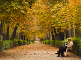 Parque Del Buen Retiro  Madrid  Spain