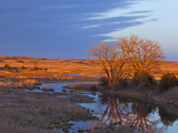 Bathed in Sunset Light the Calamus River in Loup County  Nebraska  USA